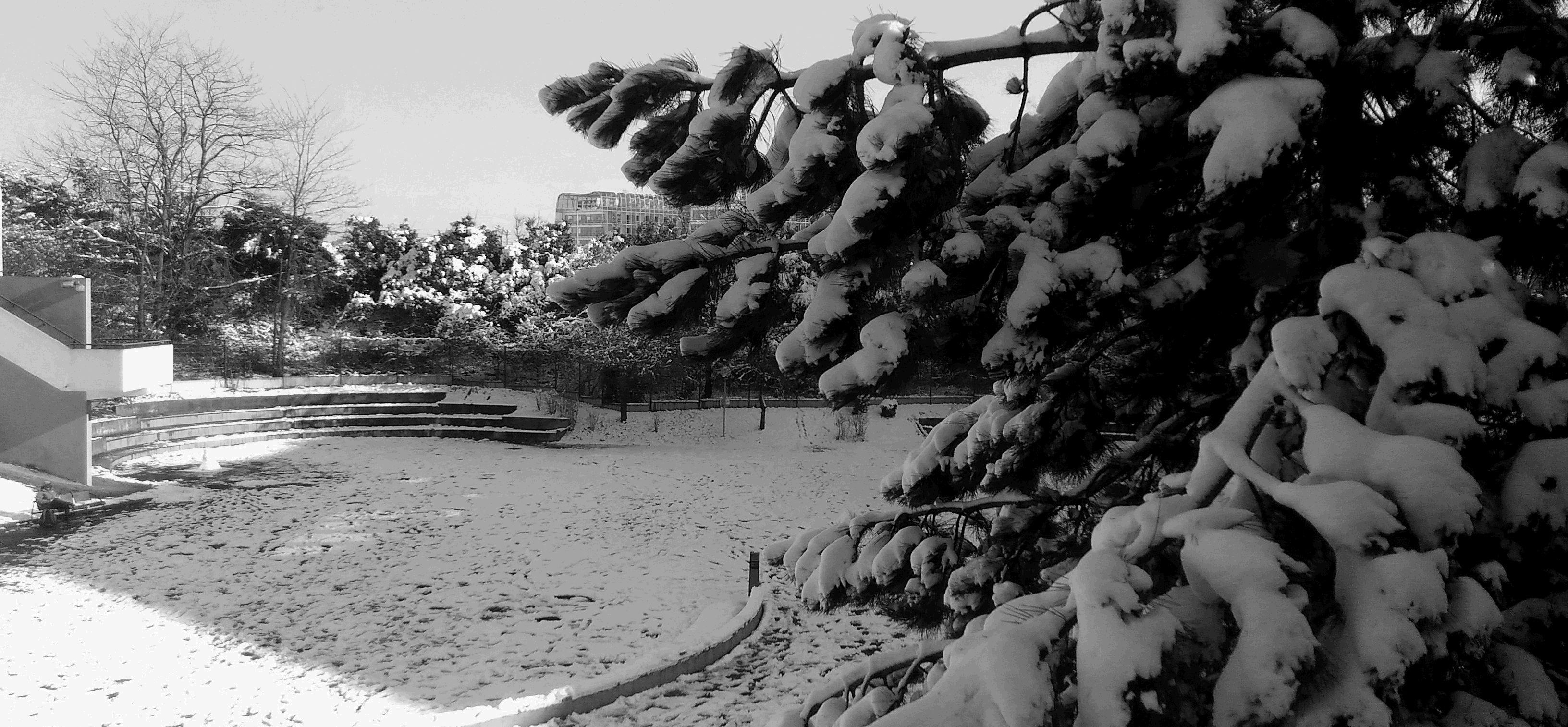 votre photo votre photo